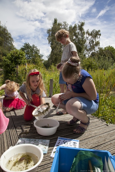 Waterdiertjes zoeken