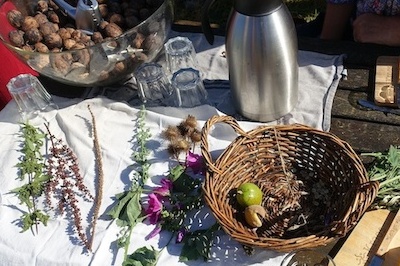 Tafel met wilde noten en zaden