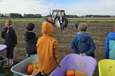 Kinderen in het veld met kruiwagens